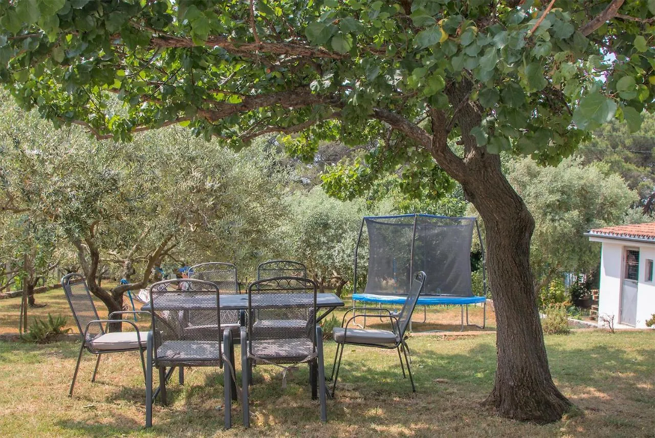Apartman Olea Pula